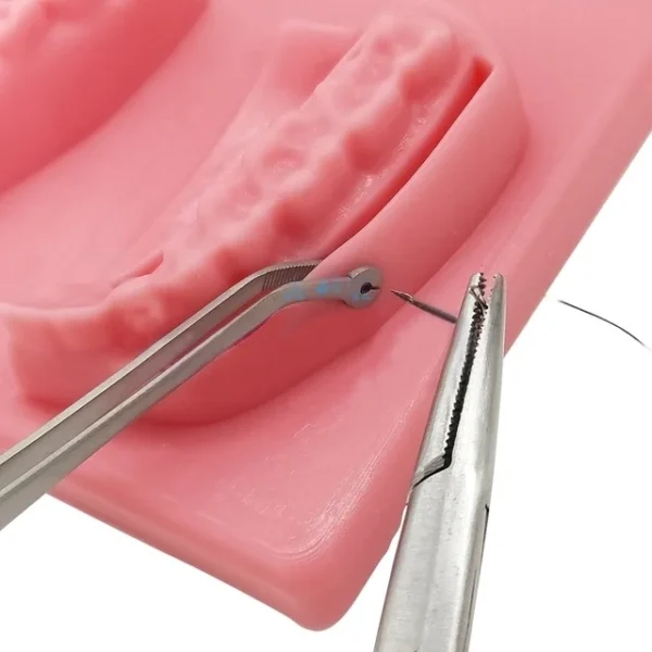 Dental Surgical Operation Stitching Tweezer - Image 3