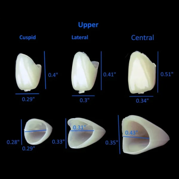 Dental Temporary Crown box Kit - Image 4