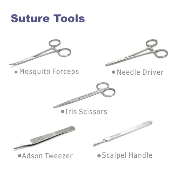 Students Suture Practice Kit Surgical Training - Image 2