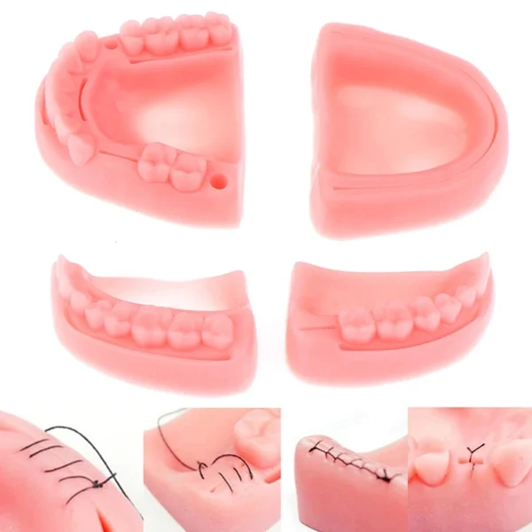 Dental Silicone Oral/Gum Suture Training