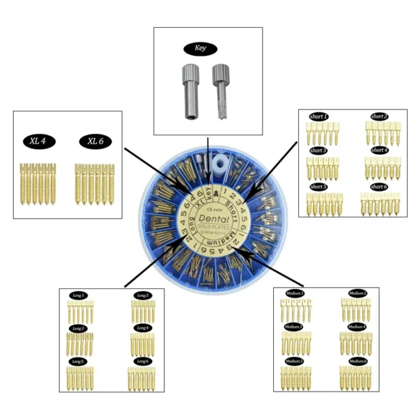 120Pcs Dental Screw Post  - Image 3