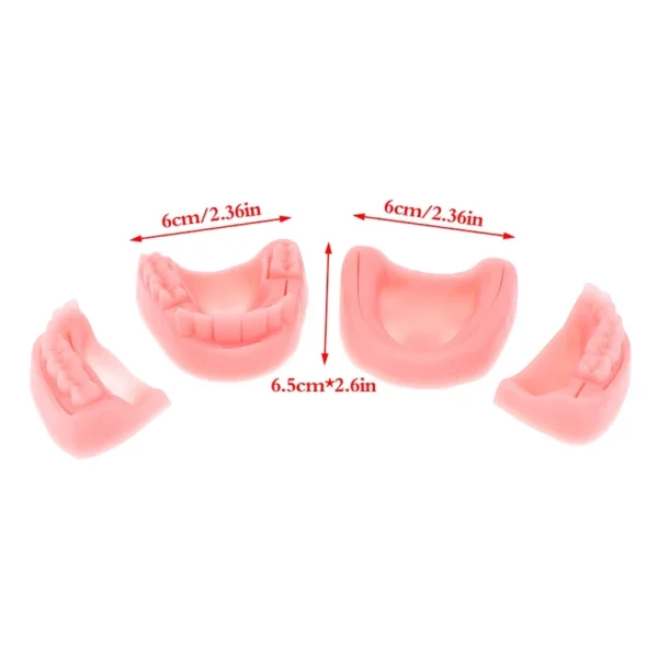 Dental Silicone Oral/Gum Suture Training - Image 3