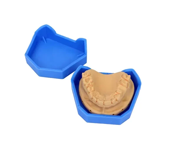 Dental Model Base Set - Image 6